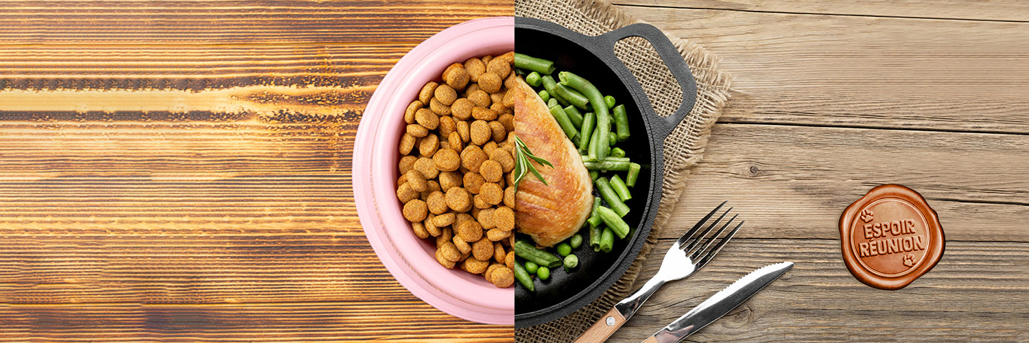 Image coupée en deux, du côté gauche, un bol rose rempli de croquettes, du côté droit un blanc de poulet et haricots verts dans une casserole en fonte