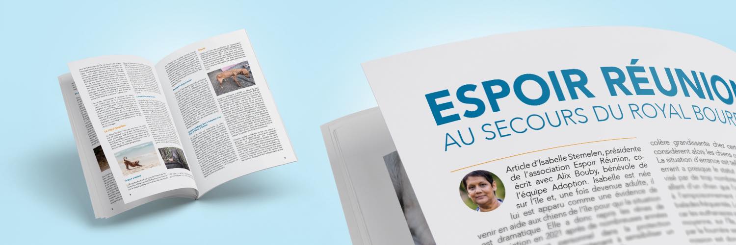 mockup d'un magasine sur fond bleu pâle